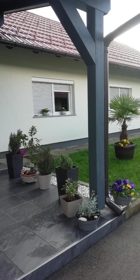 אוטוצאץ Apartman Luce מראה חיצוני תמונה